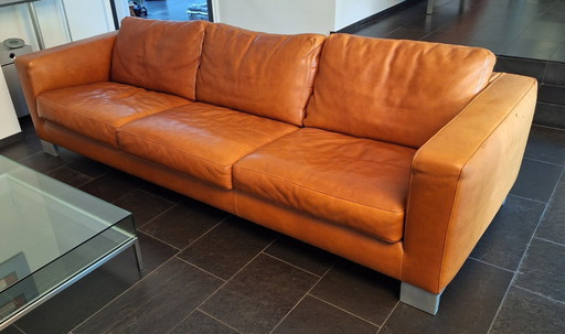 Classic Molinari leather sofa