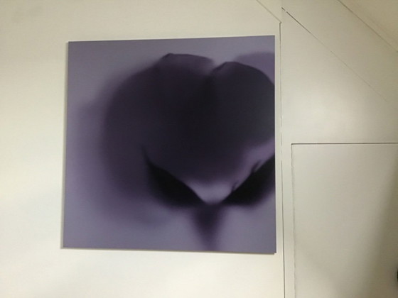 Image 1 of Impresión Dibond Yve van der Donck