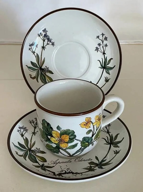 Tazza Chelidonium Majus & Piattino Asperula Odorata - Villeroy & Boch Botanica, Stoviglie, Porcellana, Retro (foto 2 di 5)