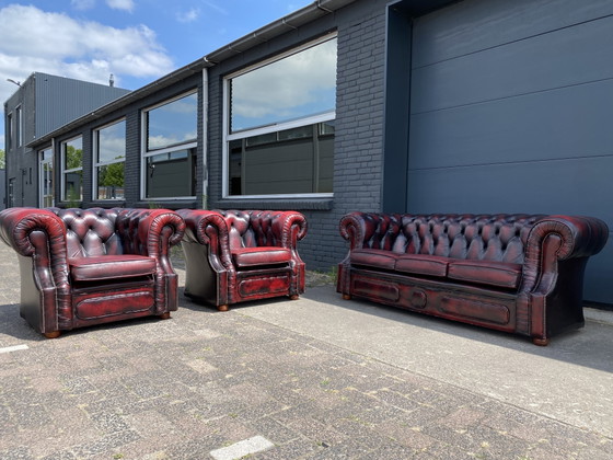 Sofá de 3+1+1 plazas color rojo burdeos – Chesterfield, Leather, Wood (photo 7 of 7)