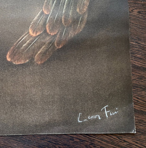 Image 1 of Leonor Fini, Extreme Nacht, seltene Lithografie, 1980