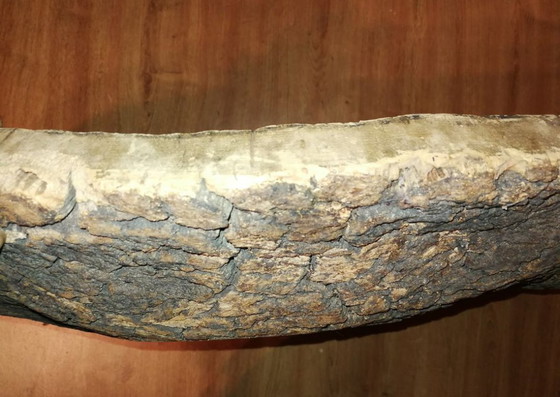 Image 1 of Vassoio/vassoio in sughero vintage per catering/cucina di catering