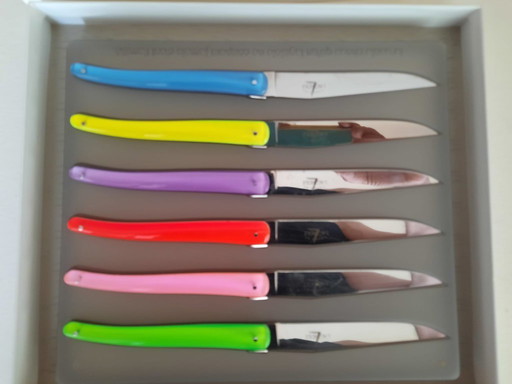 Laguiole Tafelmessenset Fluo Jean Michel Wilmotte
