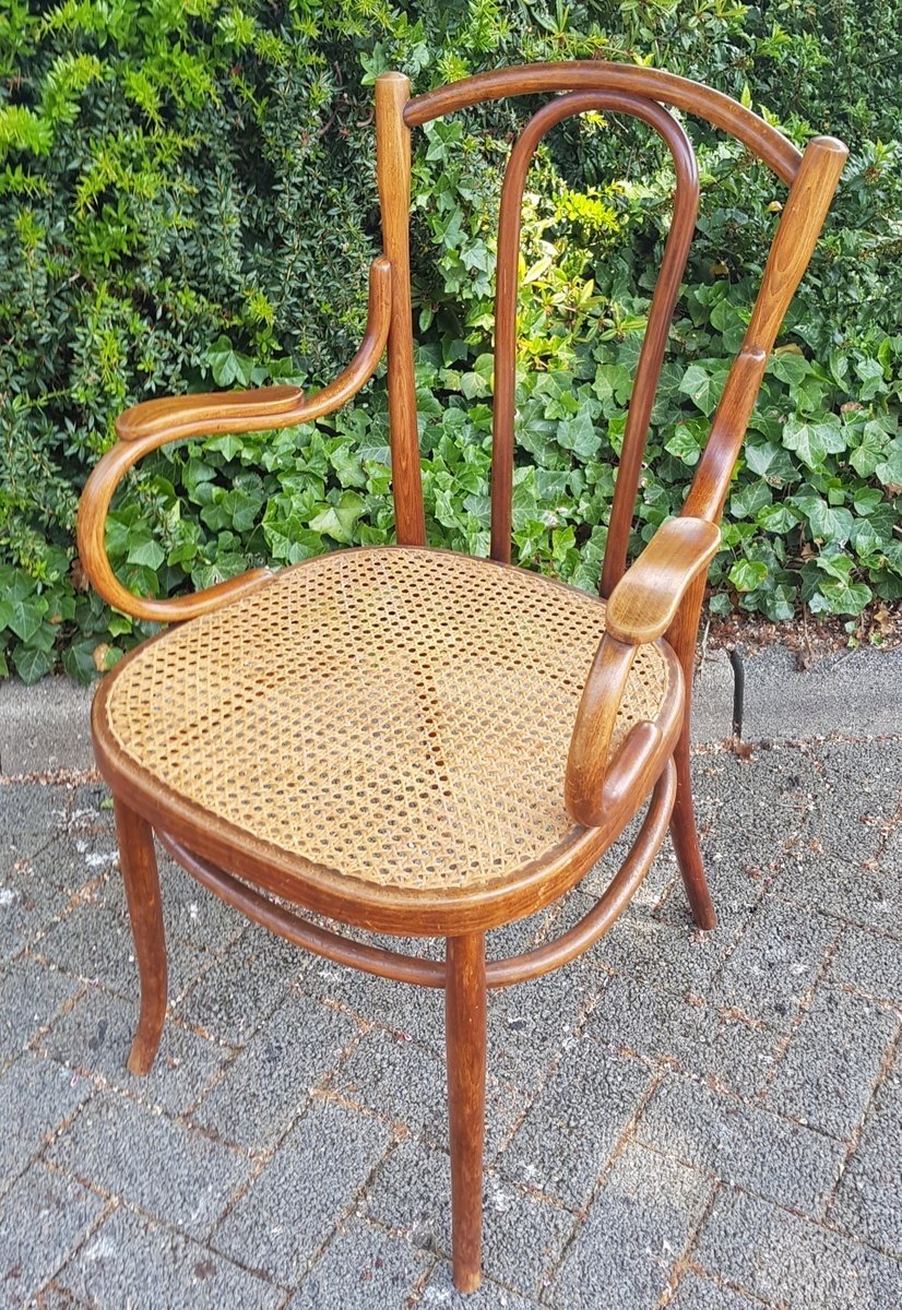 Sitemapcdatahttpsshopinf Inetcomfauteuil Thonet Ancien