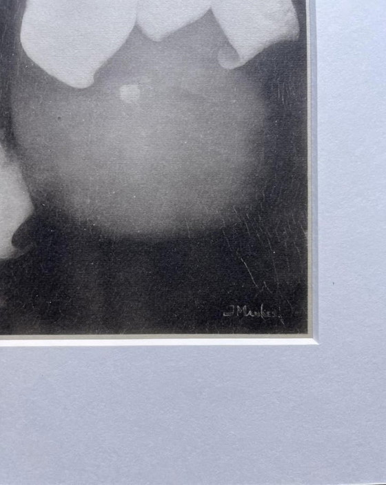 Image 1 of Jan Mankes 1889-1920 / Héliogravure originale Lys Calla 1923