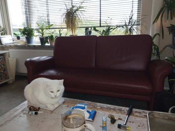 Leather Sofa – 2 seaters (photo 4 of 6)
