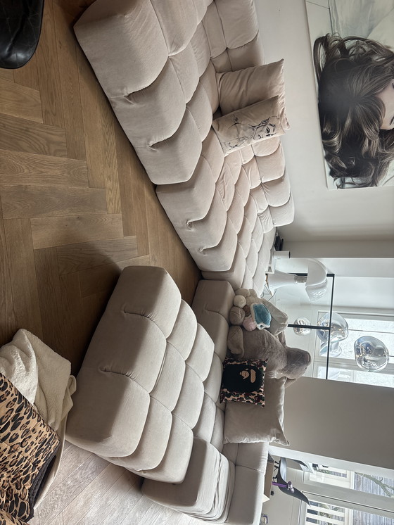 Image 1 of Banco de tiempo de Tufty