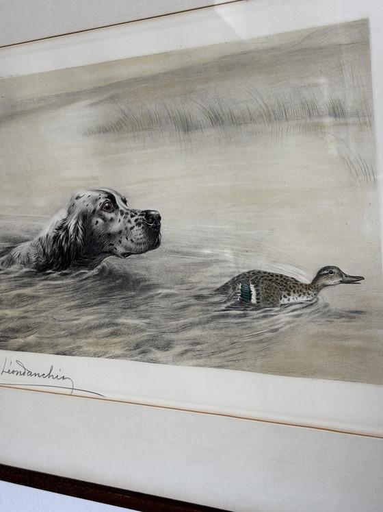Image 1 of Original Léon Danchin Etching – English Setter & Duck – Signed Hunting Art
