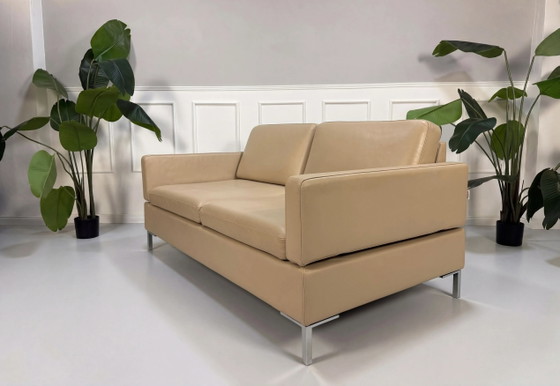 Image 1 of Brühl Alba Sofá de diseño Sofá Leder beige