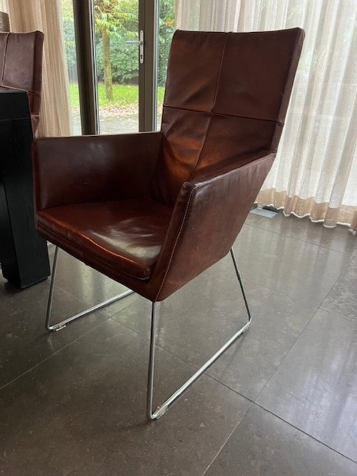 8x Label Donna dining chairs, buffalo leather, very good condition for 3750 euros (unit price 469 euros), only for sale as a set