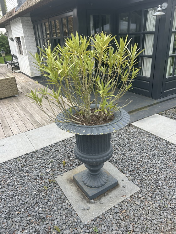 Image 1 of vasi da fiori in ghisa