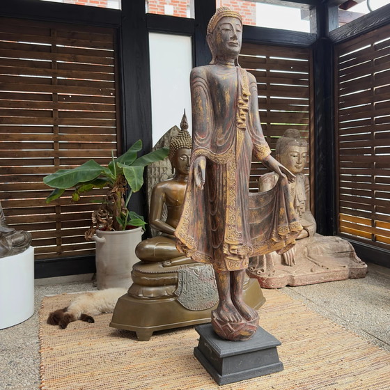 Antique Burmese Standing Buddha – Monumental Temple Statue in Teak Wood (166 cm) – Sculpture (photo 2 of 11)
