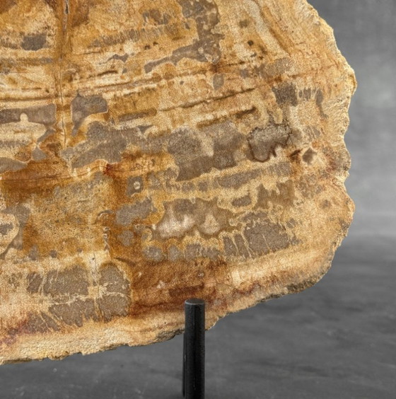 Image 1 of Madera fosilizada de Sooka, soporte hecho a medida (nuevo)