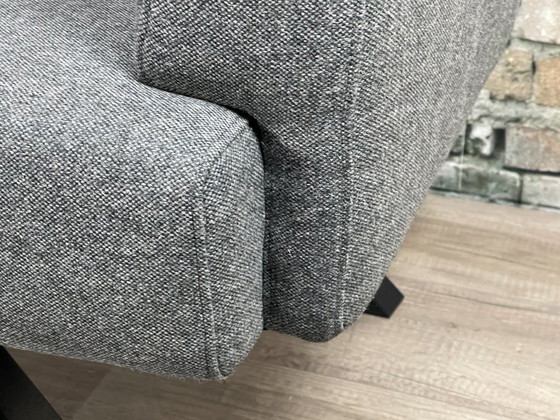 Image 1 of Anche la banca dello Zoo