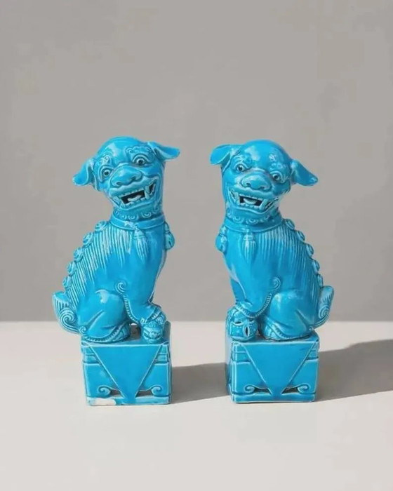 Pair of blue Fô dogs - glazed ceramic - Chinese blue - Mid 20th century, Decorative Objects, Porcelain (photo 5 of 5)