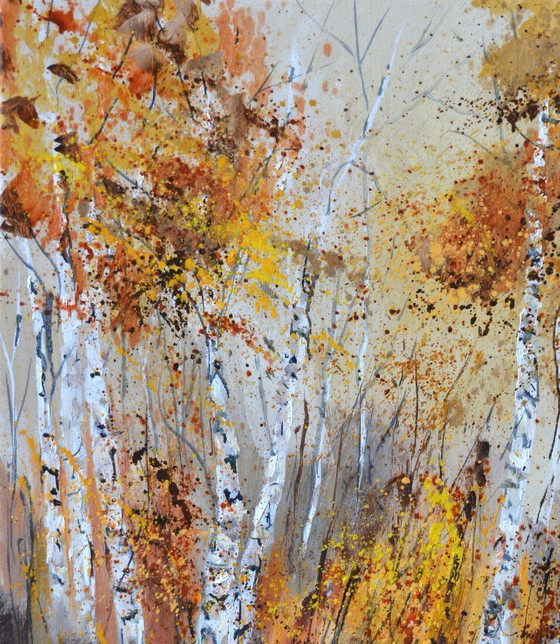 Image 1 of Aspen trees