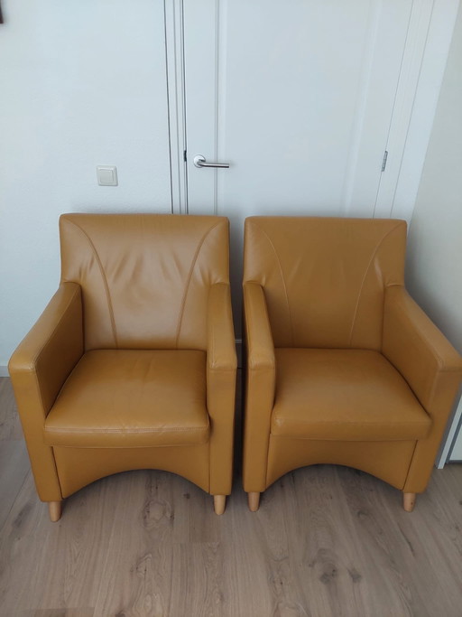 Leolux Fauteuils 