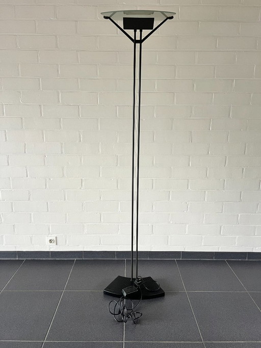 Accademia Terra floor light