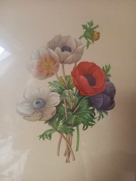 Magnifique cadre avec une œuvre de Redoute – PJ Redoute, Tirages d'art, Glass, Paper (photo 6 of 8)