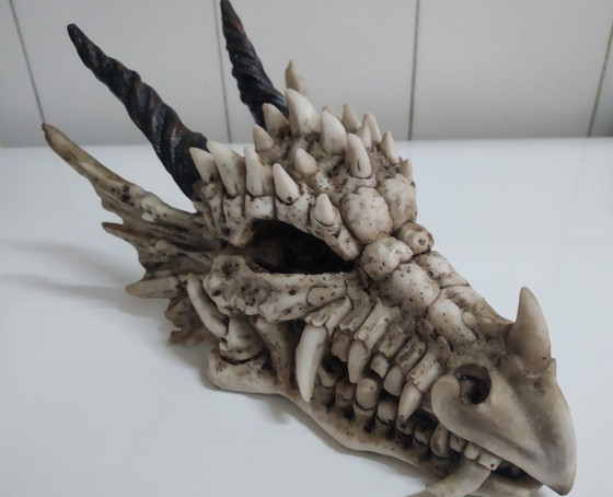 Image 1 of Hucha calavera Dragón (de resina)
