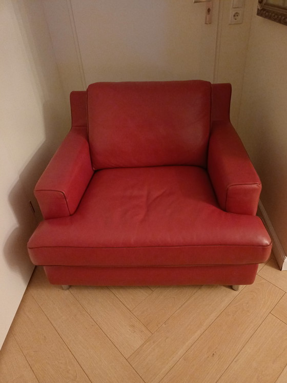 Image 1 of 2 poltrone in pelle di Novastyl