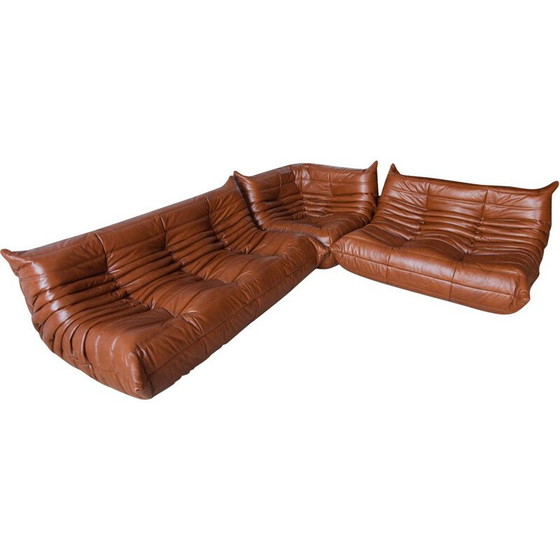 Image 1 of Ensemble salon vintage Togo en cuir marron par Michel Ducaroy pour Ligne Roset, France 1970