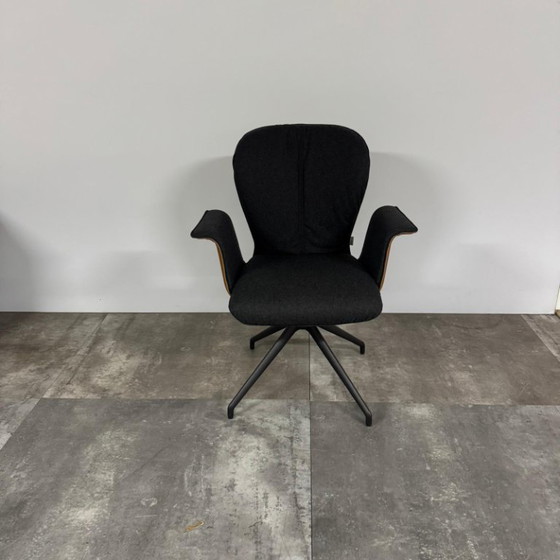 Image 1 of 4x Blake Donna dining chair