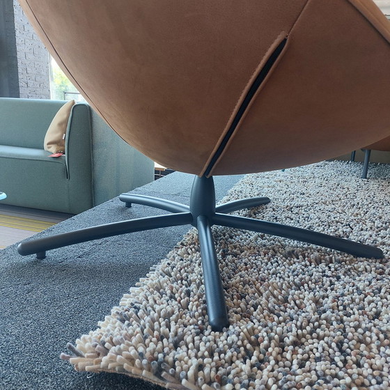 Image 1 of Label Hide Sessel