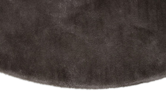 Image 1 of Longbarn Liscio