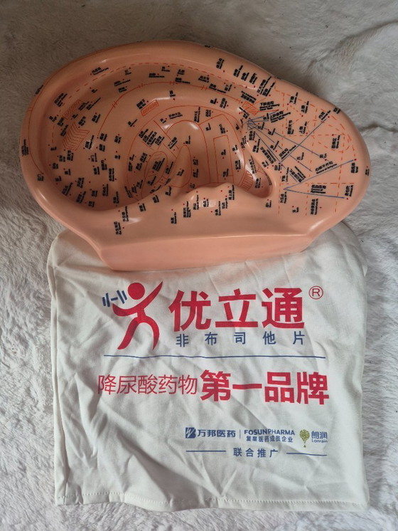 Image 1 of Ohrmodell-Akupunktur