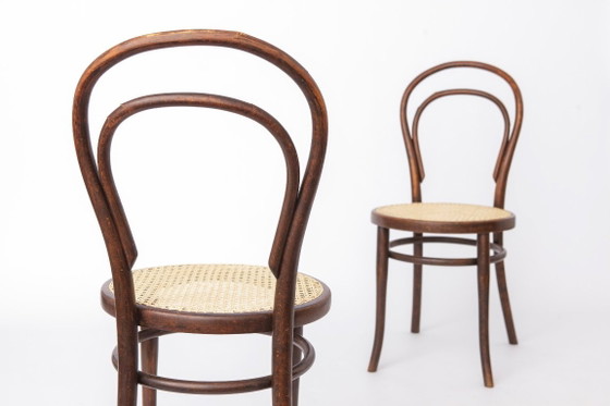 Image 1 of Set of 2 Antique Thonet Bentwood Chairs, Vienna Cafe Chairs, Early 1900s Austrian Chairs, Restored Rattan Seats