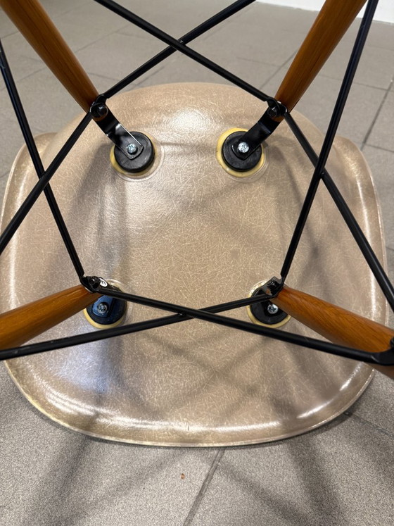 Herman Miller | Eames | DSW | Fibre de verre gris-beige | 4 pièces – Chaises de salle à manger, Metal, Wood (photo 12 of 13)
