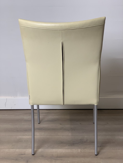 Arc van Bert Plantagie 6 stuks