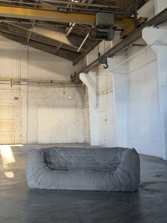 Image 1 of Ligne Roset Togo Medio | Alcantara