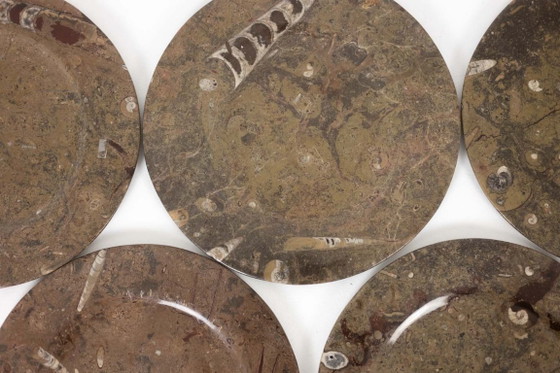 Image 1 of Set aus 7 Marmortellern mit Fossilieneinschlüssen. 20. Jahrhundert.