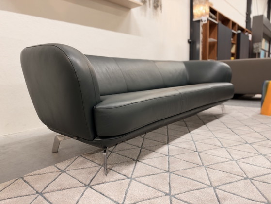 Leolux Flint 3.5-seater Sofa Raffino Turtle leather, 3-5 seaters, Green (photo 6 of 11)