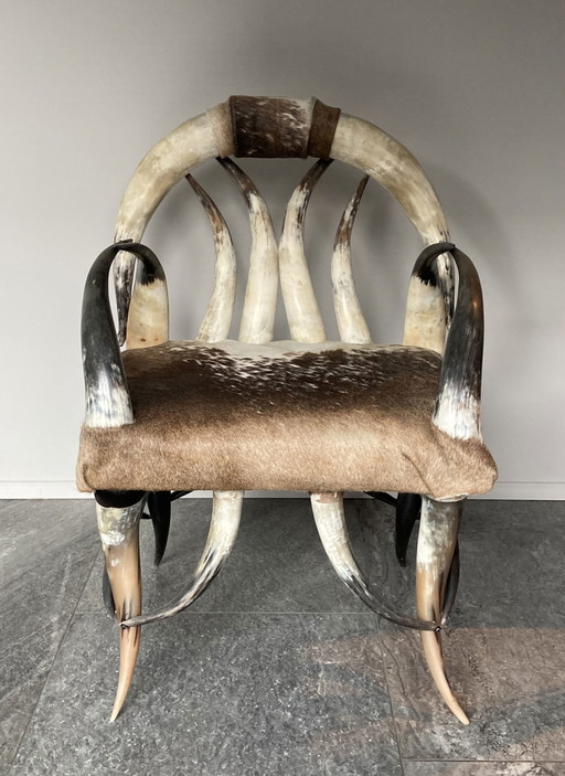 Sedia vintage in corno di mucca