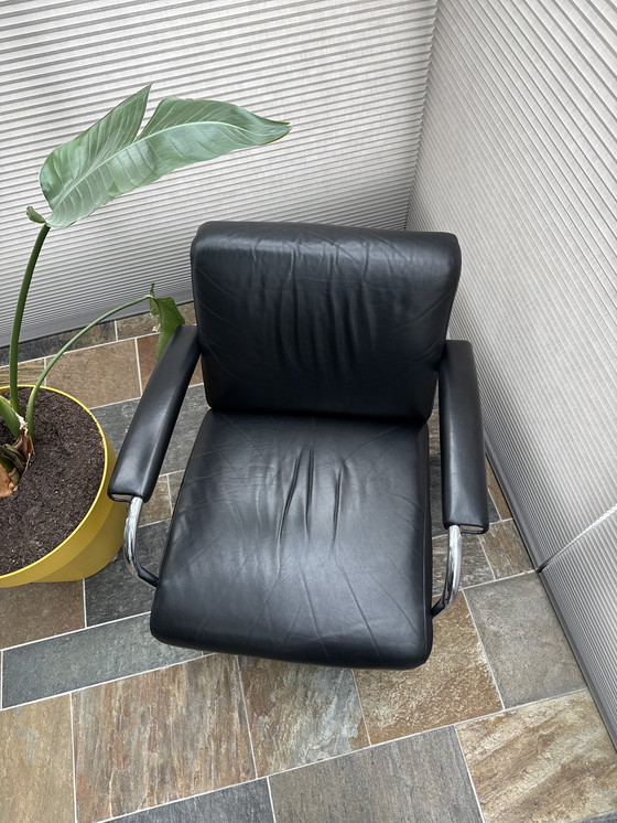 Image 1 of Leolux Scylla