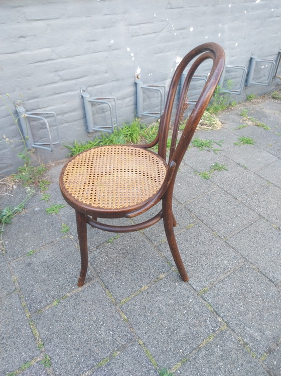 Image 1 of 1 juego de 4 Thonet Modelo 14 de la década de 1920 en perfecto estado.
