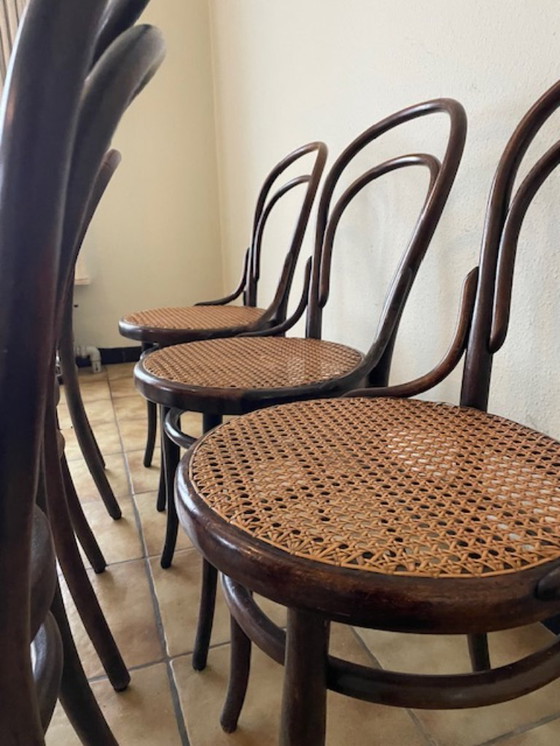 Image 1 of Sedie d'epoca in legno curvato e canna di Michael Thonet, 1904 n°14