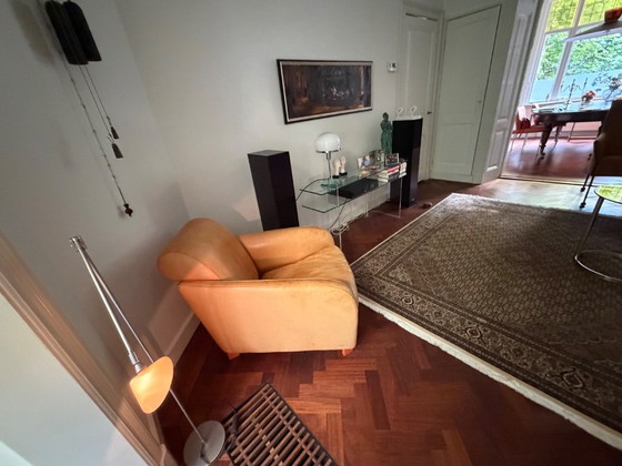 Poltrona Molinari – Poltrone, Leather, Wood (photo 2 of 5)
