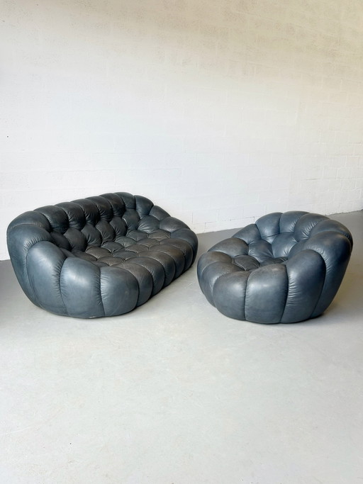 Ensemble canapé Bubble roche bobois en cuir