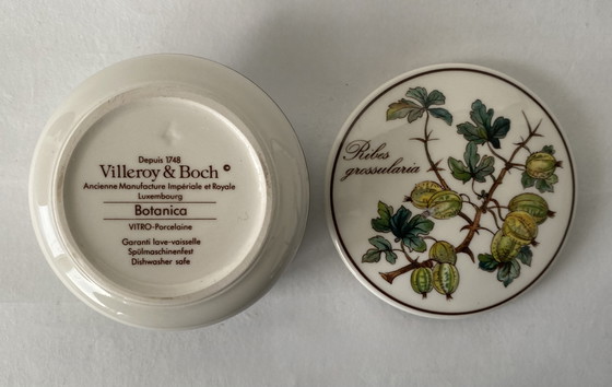 Image 1 of Villeroy & Boch Botanica Deckeldosen