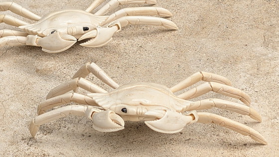 Image 1 of Juego de tallas japonesas en marfil, Alrededor de 1900