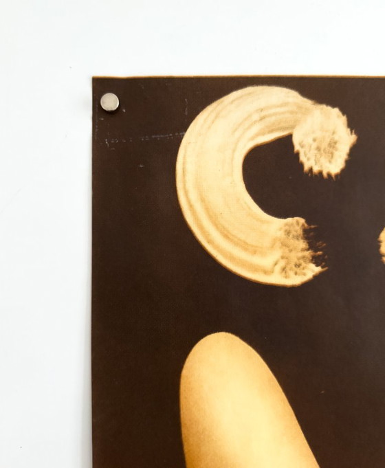 Image 1 of 🎪 Cyrk – 1978 – Original B1 Poster by Jerzy Czerniawski | 98 × 68 cm | Poland 