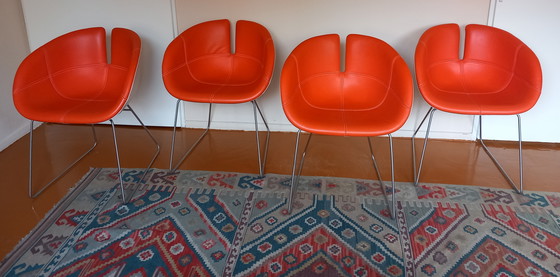 Image 1 of 4x Moroso Fjord Patricia Urquiola