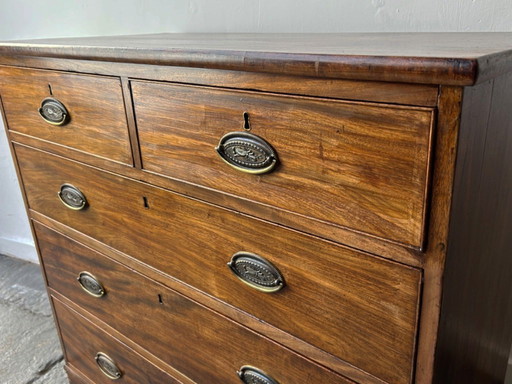 Antique Georgian mahogany two over three chest of drawers 1820–1840