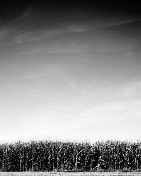 FRYSLÂN / 3-part photo series / 2010-2011 / UNIQUE SERIES