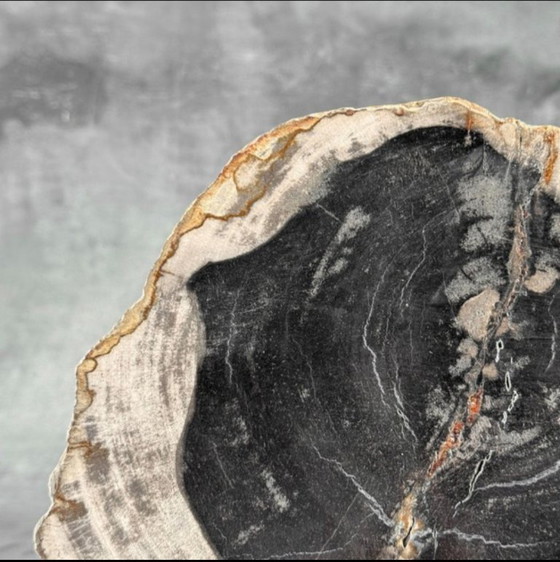 Image 1 of Bois fossilisé – Plaque en bois pétrifié avec un support sur mesure.