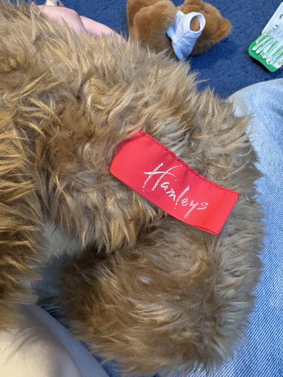 Image 1 of Hamleys teddybeer